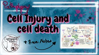 CELL INJURY pathology  reversible injury Hydropic change fatty change amp irreversible injury [upl. by Gorlin519]