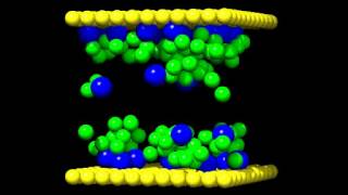 Adsorption Dynamics of Alkanethiol SelfAssembled Monolayers onto Gold Surfaces [upl. by Nirrok489]