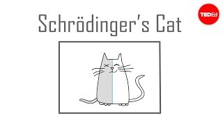 Schrödingers cat A thought experiment in quantum mechanics  Chad Orzel [upl. by Attenhoj809]