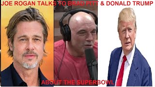 JOE ROGAN BRAD PITT AND DONALD TRUMP TALK ABOUT THE SUPERBOWL [upl. by Rhee]