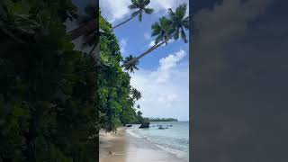 Taveuni ein Paradies auf Erden 🪸🇫🇯 backpacking travelling oceania fiji [upl. by Noitsuj123]