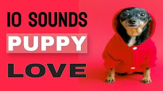 10 Sounds Puppy Love The Most [upl. by Ploss]