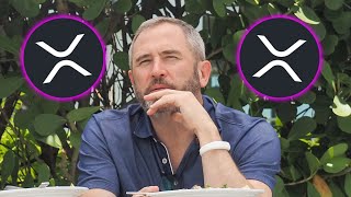 XRP RIPPLE CEO BRAD GARLINGHOUSE REVEALS XRP MOON TIMELINE [upl. by Yerahcaz]