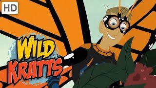 Wild Kratts  Spread Your Little Wings 🦋🦇  Kids Videos [upl. by Thgiwd]