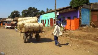 Road Trip to Negele Ethiopia III [upl. by Nauqan26]