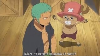 ONE PIECE Zoro and Chopper ZoroxChopper [upl. by Eldwun]