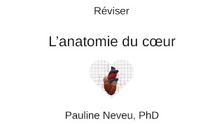 Physiologie CardioVasculaire – Réviser l’anatomie du cœur 001  Dr Pauline Neveu [upl. by Angadreme]