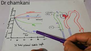 Renal physiology 92  Concentration of solutes along proximal tubule  Urine formation [upl. by Oxley]