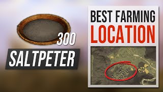 How to get SALTPETER in New World  Best Farming Location Guide [upl. by Viviana]