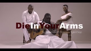 Nyasha David Ft Sylent Nqo amp Prosper  Die in your arms Official Video [upl. by Shear]