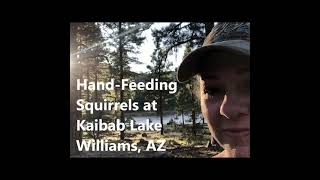 Handfeeding Wild Squirrels at Kaibab Lake Williams AZ [upl. by Anidene]