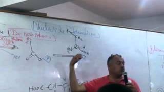 13 Pyrimidine Synthesis [upl. by Naltiac985]