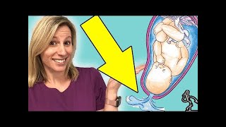 How to Tell If Your Water is Broken Quick Tip from a Midwife  CajunStork Shorts [upl. by Silvester]