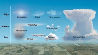 Types of Clouds [upl. by Elacsap]