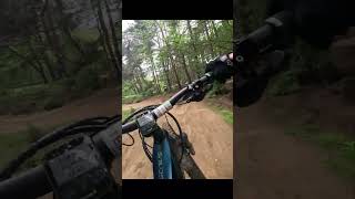 Twisted Oaks Bike Park Duals fun [upl. by Izmar]