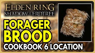 Forager Brood Cookbook 6 Location  Elden Ring Shadow of the Erdtree DLC [upl. by Assila568]