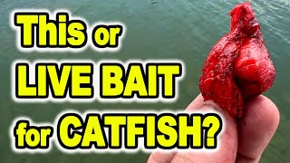 Better Than Live Bait for Catfish [upl. by Nnybor883]