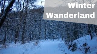 4 Tage Winter Wanderung im Harz  Wandertour 2 [upl. by Osmund161]