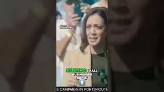 Kamala Harris Tax Plan For Small Entrepreneurs [upl. by Nodyarg]