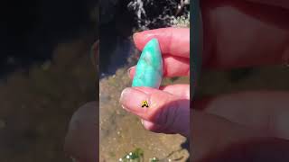 Found a stunning blue stone at the seaside 💎shortvideo [upl. by Hunley]