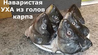 ТАКОЙ ВКУСНОЙ УХИ ВЫ ЕЩЕ 100 НЕ ПРОБОВАЛИ 🐟🐟🐟 [upl. by Oitaroh98]