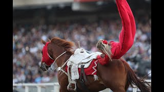 Shelby Pierson Rae Lynn Armstrong amp Piper Yule Trick Riding at StPaul Rodeo 2021 [upl. by Niarda]