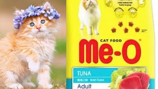 MeO Cat food 2019 hindiUrdu [upl. by Zerep994]