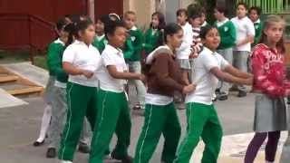 DANZA DEL PINGUINO 4° quotAquot ACTIVACION FISICA 2013 [upl. by Anilatak]