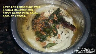 Verusenaga pappu chutney  peanut chutney recipe  groundnut chutney recipe  shenga chutney [upl. by Swerdna]