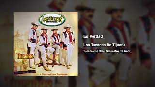 Es Verdad – Los Tucanes De Tijuana Audio Oficial [upl. by Hepsoj786]