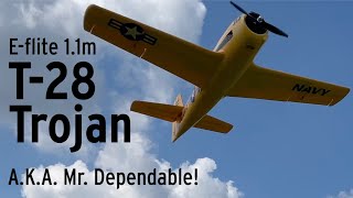 Eflite T28 Trojan 11m flight 5th May 2024 [upl. by Ulane]