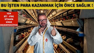 EN İYİ TAVUK BAKIM PROGRAMI  HANGİ UYGULAMA NE ZAMAN YAPILMALI [upl. by Howey894]