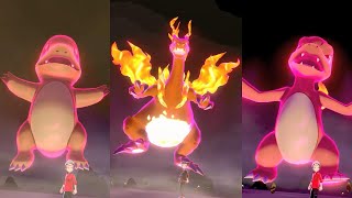 Pokémon Go New DYNAMAX Update [upl. by Jarrod]