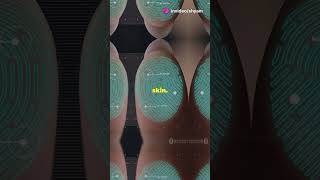 How Fingerprint Sensors Work in Phones viralvideo shorts shortsvideo touchscreen fingerprint [upl. by Yrffoeg]