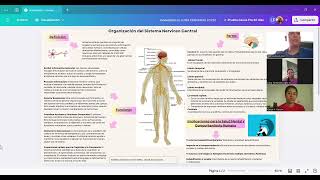 tarea 3  fundamentos y generalidades de la biopsicología [upl. by Halverson]