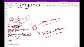 Water soluble vitamins  biochemistry first year [upl. by Leodora359]