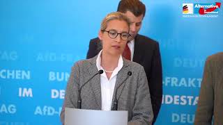 Statement von Alice Weidel zur Nichtwahl von Mariana HarderKühnel [upl. by Enrahs]