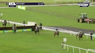 Wetherby Horse Racing Full Highlights October 31st 2020 [upl. by Quackenbush15]