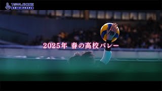 第77回全日本バレーボール高等学校選手権大会東京都代表決定戦 [upl. by Iaw]