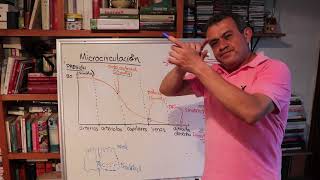 MIcrocirculación y edema [upl. by Ahlgren]