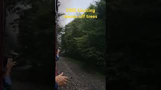 2102 steam locomotive blasting leaves off trees on the way to Nesquehonimg station PA 2102 [upl. by Gombosi]