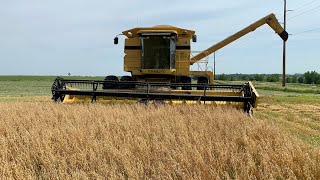 Our First Time Straight Combining Oats and Round Baling 2nd Cut Alfalfa Hay [upl. by Nosduh413]