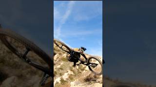 Unreal MTB Whip Scrub [upl. by Zedekiah]