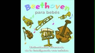 beethoven para bebes 5  relajacion y estimulacion de la inteligencia  embarazo  prenatal [upl. by Narut]