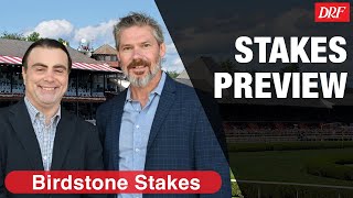 Birdstone Stakes Preview 2023 [upl. by Bertilla]