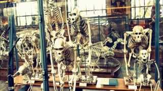 visite du Muséum national dHistoire naturelle en famille Paris MNHN [upl. by Wrigley]