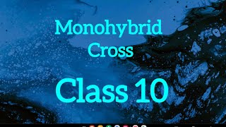 Class 4Monohybrid Cross Class 10 Science [upl. by Rebmyk]