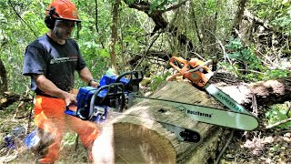 Dueling Chainsaws Farmertec Holzfforma G660 vs G444 [upl. by Adolf934]