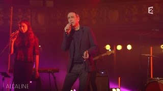 Alcaline le Mag  Alain Chamfort  La Fièvre dans le Sang en live [upl. by Tiertza]