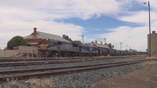 Trains in the Riverina New South Wales [upl. by Orvie]